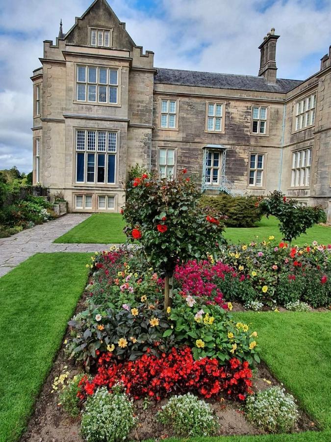Green Acres Guesthouse- Accommodation Only Lower Coolcorcoran Extérieur photo